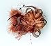 Removable Fascinator Hair Clip Feather Wedding Headwear Bridal 1920s Headpiece Women (Coffee)