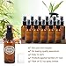 Pack of 12, 1 oz Amber Glass Bottles with Black Fine Mist Sprayers by Mavogel, Including 2 Extra Black Fine Mist Sprayers, 2 Stainless Steel Mini Funnel, 2 Transfer Pipettes, 12 Bottle Labels