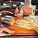 Vintage Edison Bulb KINGSO Dimmable 60W Edison Light Bulb Squirrel Cage Filament Incandescent Antique Light Bulb E27 E26 Base ST64 110V - 12 Pack