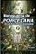 Livro Bonequinha De Porcelana