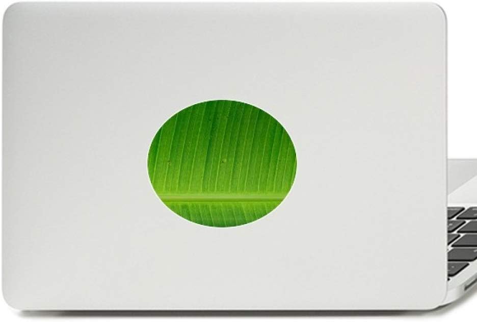Photograph Banana Leaf Picture Nature Vinyl Emblem Graphic Laptop Sticker Notebook Decal
