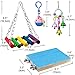 AK KYC 8 Pack Bird Parrot Toys Swing Chewing Hanging Bell Cage Hammock Toy for Small Parakeets Cockatiels Conures Parrots Love Birds Finches