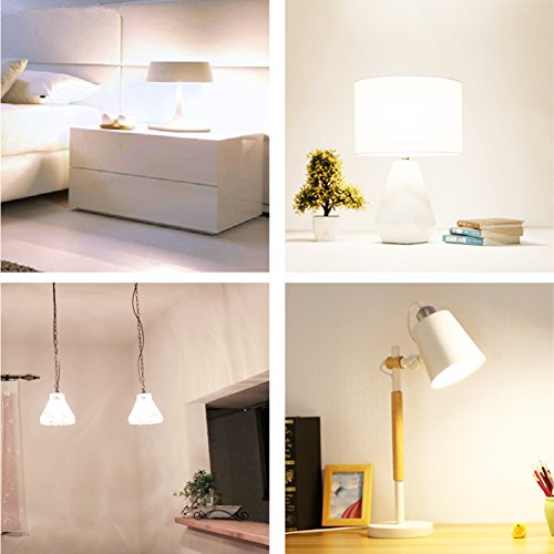 Litake A19 LED Bulbs 5000K, Daylight 100 Watt Equivalent LED Light Bulbs, 1100LM, 100-240V, 11W E26 Base LED Household Light Bulbs - 12 Pack