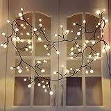 Globe String Light BaiYunPOY 8.2Ft LED Decorative String Lights Indoor Outdoor String Lights for Garden,Wedding,Xmas Party,Room,Dorm,Window Curtain,Bookshelf, Backyard,Wedding,Birthday Party