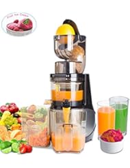 Masticating Juicer,Whole Slow Juicer Extractor by Vitalisci,Cold Press Juicer Machine,Anti-Oxidation for Fruit and Vegetable,Easy to Clean and BPA Free,(300W AC Motor/3.15