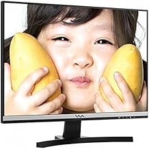 WASABI-MANGO FHD240 Slim 24 Inch 16:10 WUXGA (1920 x 1200) Slim Narrow Bezel Monitor PLS/LED, HDCP, HDMI/DVI/RGB, Flicker Free/Low Blue Light