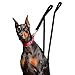 Houseables Extra Long Dog Leash, Double Handle, Dual Padded Grip, 8 ft Length, Black, Heavy Duty, Large/Medium Dogs, 2 Handles, Greater Control Safety Training, Protect Dog in Traffic