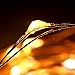 LOENDE 33ft 100 Led String Lights Dimmable, Cooper Wire Starry String Lights with Remote Control for Bedroom, Restaurant, Bars, Frames, Holiday, Party, Wedding Decorations (Warm White)