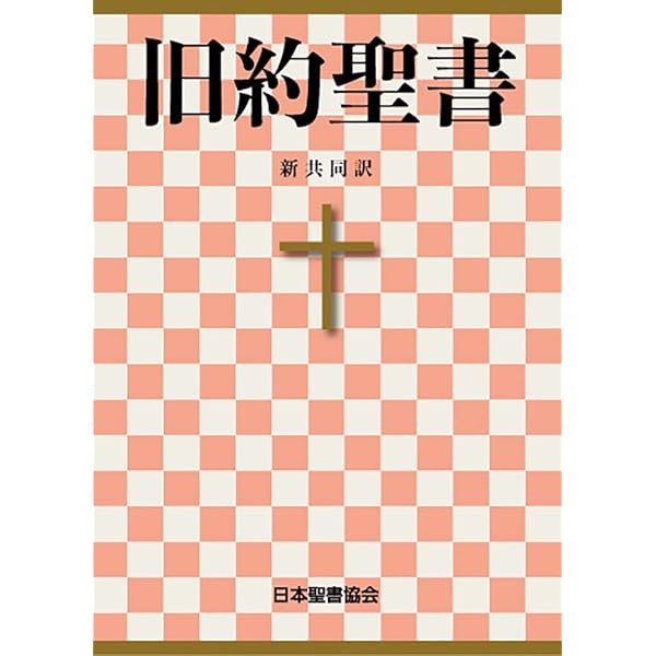 聖書 SBB 翻訳 TB / ARC / RA / NAA / NTLH 聖書 SBB 翻訳 TB / ARC / RA / NAA / NTLH - メルカリ