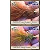 Next-Generation-Streamer-Flies-FISH-SKULL-Assortment-12-flies