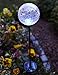 Moonrays 99924 Color Changing Solar Glass Ball Fixture, 1 Pack