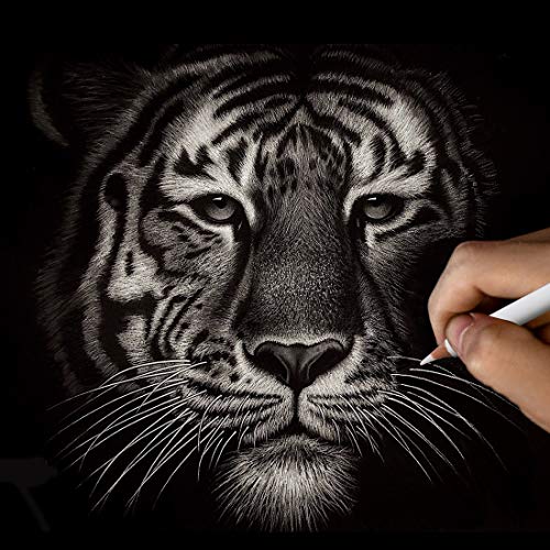 Art White Charcoal Pencils Set, 3 Piece, White Drawing Pencils for Artist, Sketching, Black Paper