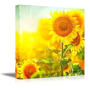 Canvas Prints Wall Art - Beautiful Sunflowers Blooming on The Field Growing Sunflower | Modern Wall Decor/Home Decoration Stretched Gallery Canvas Wrap Giclee Print & Ready to Hang - 12" x 12"