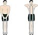Resistance Bands - 6 Levels, 2-175 lbs. Resistance, 41