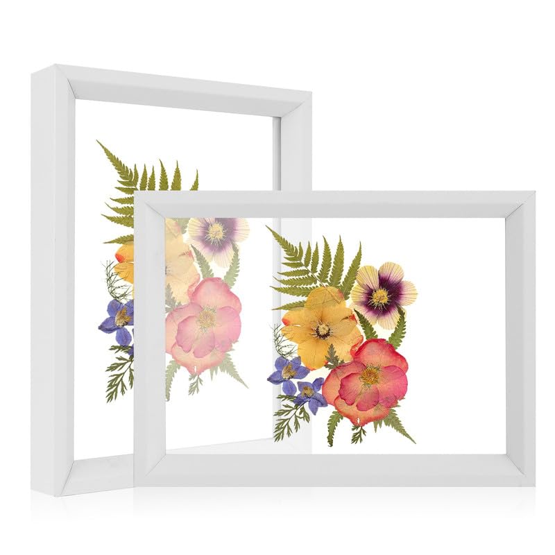 Floating Photo Frame Double Sided Acrylic Transparent Photo Frames for Plant Specimen DIY Picture Frame for Home Decoration, 2 Pack-4x6 White Wood Textured Poster Display Photo Frame