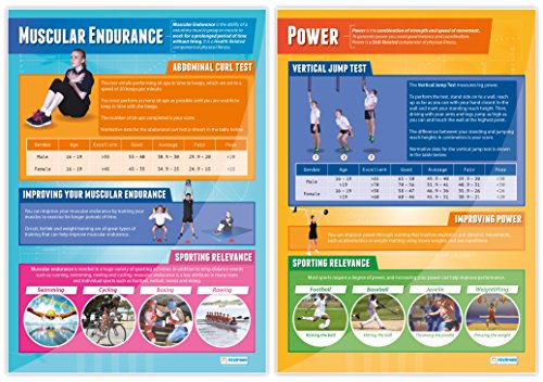 Components of Physical Fitness - Set of 12 PE Posters | Classroom Posters for PE | Gloss Paper measuring 33" x 23.5" | Phys Ed School Posters | Physical Education Gym Charts, by Daydream Education - Thumbnail 4