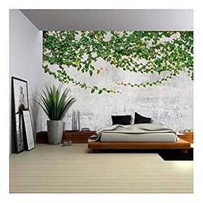 Green Vines Draping from a Grey Pavement Wall - Wall Mural, Removable Wallpaper, Home Decor - 66x96 inches