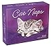 Cat Naps 2020 Boxed Daily Calendar by