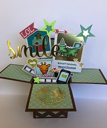 Birthday giftcard holder pop up card - boy birthday explosion box card with polaroid images of cute animals, cupcake and hashtag messages