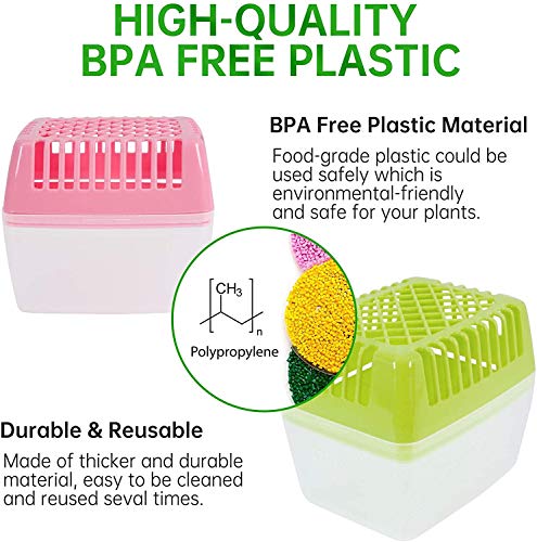 KORAM Seed Tray Kit, Seed Planting Tray for Cat Grass, Tray for Seedling Organic Pet Cat Grass Growing with Non-Slip Stickers, Natural Hairball Control Healthy Treat for Cats (Seed Not Included)