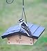 Nature's Way Bird Products CWF2 Cedar Suet Upside-Down Bird Feeder, Black