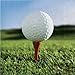 Sports Fanatic Golf Theme Plates and Napkins Serves 16 With Birthday Candles
