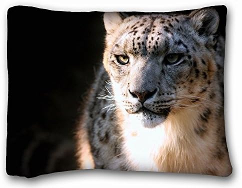 fengyijiating Decorative Standard Pillow Case Animals furry bunny s baby 20" W By 54" L