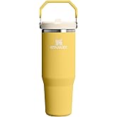 STANLEY IceFlow 2.0 Flip Straw Tumbler with Handle 30 oz | Twist On Lid and Flip Up Straw | Leakproof Water Bottle | Insulated Stainless Steel | BPA-Free | Daffodil