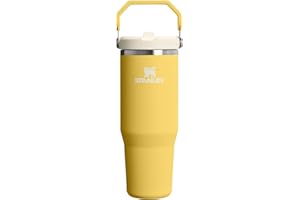 STANLEY IceFlow 2.0 Flip Straw Tumbler with Handle 30 oz | Twist On Lid and Flip Up Straw | Leakproof Water Bottle | Insulate
