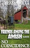 Friends Among The Amish-Volume 1- No Coincidence