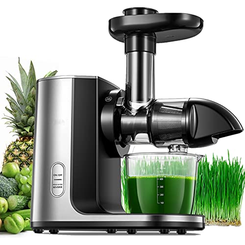 Juicer Machines, Slow Masticating Juicer with Reverse Function