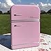 WHW Whole House Worlds Retro Refrigerator Cookie Tin, Pink, Raised Text, Silver Accents, Metal, Air Tight Lid, Food Safe, 9 3/4 H x 6 3/4 W x 2 3/4 D Inches
