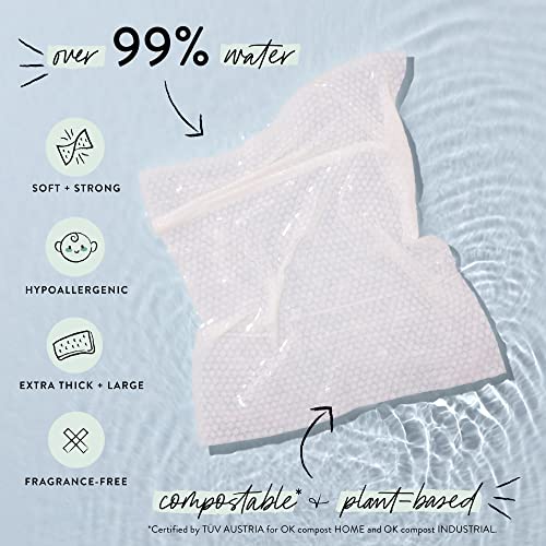 The Honest Company Clean Conscious Wipes 99 Water, Compostable