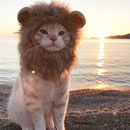 Legendog Cat Halloween Costume Lion Mane Wig Hat for Cats Pet Halloween Costumes for Small Dogs and Cats