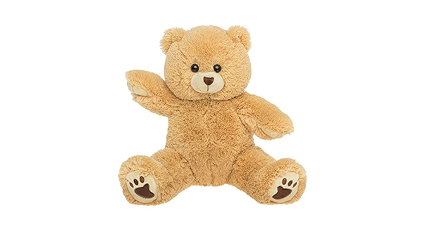 Talking Teddy Bear : Amazon 