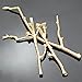 RechicGu Gold Plated Chic 3Pcs Christmas Tree Branch Hair Pin Headband Dress Snap Barrette Clip Fasci