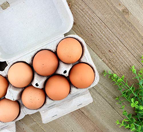 1 Dozen+Cartons+30+Pack+Split+Apart