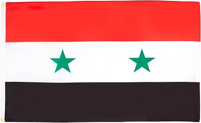 AZ FLAG Syria Flag 2x3 ft 100D Polyester with 2 Brass Eyelets Fade Resistant