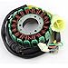 Stator Honda TRX 300 Fourtrax EX TRX 300 Sportrax EX TRX 300 X 1993-2009