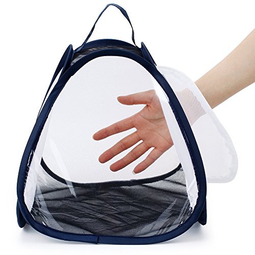 3 RESTCLOUD+Butterfly+Habitat+Insect+Terrarium