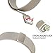 Super Vaule Metal Bands Compatible Fitbit Charge 2, Milanese Stainless Steel Metal Magnetic Replacement Wristband Small & Large for Women Men (Champagne Gold, Large: 6.7