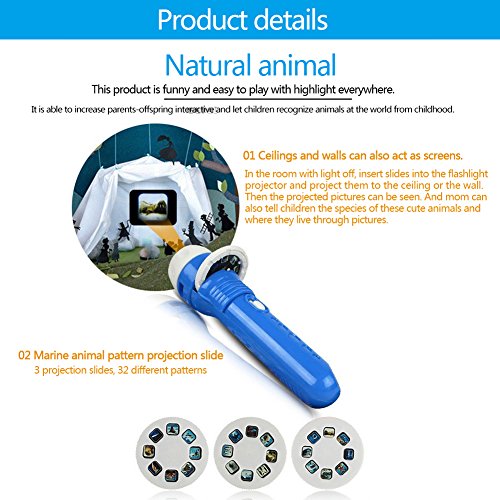 3 Pack Projector Flashlight Night Photo Picture Light Bedtime Study Learning Fun Toys for Baby Kids 3 Age