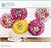 Martha Stewart Crafts 44-20203 Poppy Flowers Tissue Pom-Pom Kit, Pink and Yellow