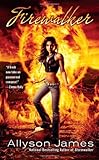 Firewalker (Stormwalker, Book 2)