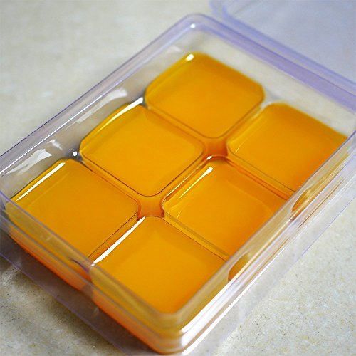 DGQ Wax Melt Molds 60 Pack Clear Empty Plastic Wax Melt Clamshells for
