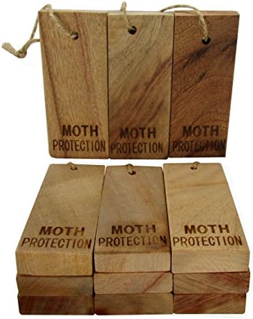 Moth Protection - Storage Essentials Aromatic Cinnamomum Camphora Root for Repeling Pests Moth Repellent ( 12 Pcs Big 3.9 x 1.6 x 0.6 in)