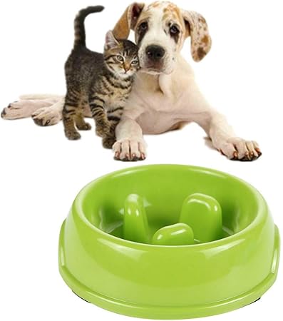 slow feeder cat bowl wet food