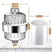 Advanced Shower Filter - 1 Replacement Cartridge + 1 Teflon Tape High Output Universal to Remove Chlorine & Sediments to Purify Water, Chrome Plated Finish (Shower Filter)