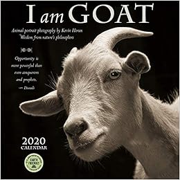 Goat calendar shoes Clearance