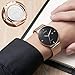 LIGE Slim Case Mens Quartz Watches with Mesh Band Waterproof Sport Wristwatch Gold Black